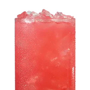 Watermelon Lemonade